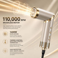 Sèche-cheveux multi-styler pliable 9-en-1 à air chaud haute vitesse avec diffuseur, lisseur et boucleur pour salon et usage domestique