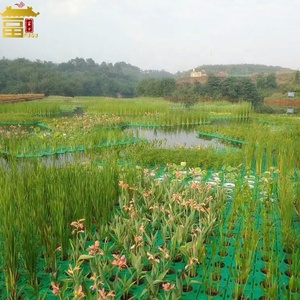 HDPE เป็นมิตรกับสิ่งแวดล้อมบำบัดน้ำเสียพืชน้ำเทียมชีวภาพลอยเกาะ - Product Image 6