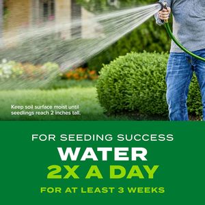 Садовая трава для затенения, смесь, 10 фунтов. Удобрение для пластиковой травы для быстрого роста зеленой травы всего за несколько недель - Product Image 5