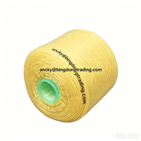 Factory High Quality 100% Polyester Yarn 30s/2s Ring Spun Recycled Dyed Raw Eco-Friendly for Socks Knitting Sewing Weaving