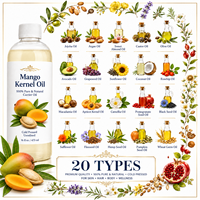 Huile de noyau de mangue, fournisseur OEM ODM, huile végétale naturelle, marque privée, emballage personnalisé, vente en gros directe d'usine, fabricant