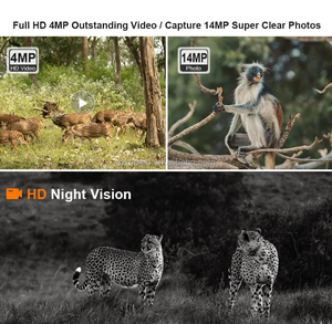 Gran oferta 4G Mini Cámara camuflaje MC-4G01 1080P visión nocturna detección de movimiento IP66 impermeable hogar seguridad al aire libre - Product Image 3