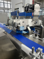 Machine de tri et de comptage automatique YH pour sachets de biscuits, bonbons, snacks, noix et cacahuètes en petits emballages