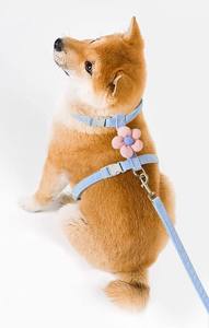 Arnés y Correa para Gatos, Resistente y Flexible, Ajustable, Diseño en Forma de H, para Gatitos y Cachorros, Ideal para Paseos al Aire Libre - Product Image 3
