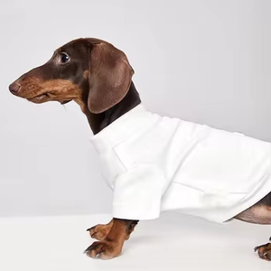 Sweat-shirt pour animaux de compagnie de couleur unie et chaude |   Couche de base thermique confortable pour l'hiver |   Vêtements populaires pour chiens et chats, pour Bichon Frise et <span class=keywords><strong>Teckel</strong></span> - Product Image 6