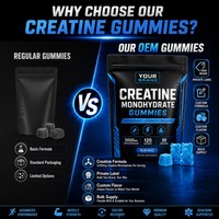 Gummies de créatine monohydrate à marque privée OEM, 120 unités, saveur framboise bleue, soutien à la force musculaire et à l'entraînement