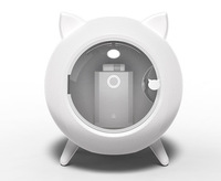 Séchoir Électrique Intelligent pour Chiens et Chats, Entièrement Automatique, pour Usage Domestique, Boîte de Séchage à Jet d'Eau, Excellent Rapport Qualité-Prix