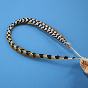 Plumas de Cola de Faisán Reeves Naturales Extra Largas al por Mayor de Fábrica para Disfraces de Carnaval - Product Image 4