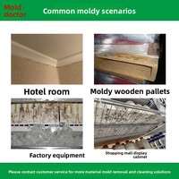 Traitement des taches de moisissure, nettoyant liquide pour salle de bain, nettoyant ménager naturel anti-moisissure, spray anti-moisissure personnalisé