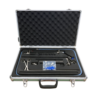 Ensemble de néphroscope vétérinaire percutané SY-P009 avec optique 15,5F, gaine 19Fr et dilatateurs séquentiels 9-21Fr