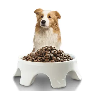 OEM ODM Pet treats and food factory manufacturer High Protein Low Fat Fatten cheeks Full Nutritional Puppy Dog Dry Food