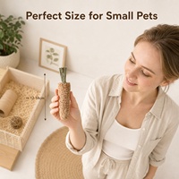 Bâton à mâcher écologique en épi de maïs pour animaux de compagnie, jouet pour hamster, lapin, cochon d'Inde, friandises à mâcher, accessoires pour le nettoyage des dents pour petits animaux