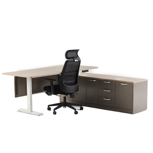 Shituo Electric Height Adjustable Desk Solid Wood Rectangle Dual Motor Standing Desk Home <b>Office</b> <b>Computer</b> Desk - Product Image 2