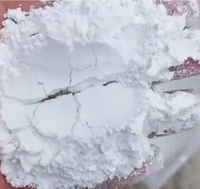 Bubuk Gipsum Super Kuat 1Kg Cepat Kering Bahan Plester DIY untuk Patung, Kerajinan Tangan, Detail Seni, Cetakan untuk Kerajinan Lainnya