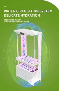 Sistema de Cultivo Hidropónico Completo para Jardín Doméstico y Agricultura de Bajo Costo, Ideal para Vegetales - Product Image 5