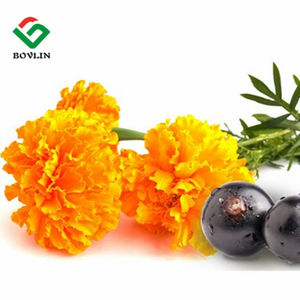 خلاصة زهور القطيفة ، لوتين زاياكسانثين لوتين - Product Image 2