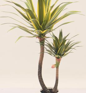 Plantas Artificiales JWS4084, Impermeables y Ecológicas, <span class=keywords><strong>Agave</strong></span> de Doble Cabeza, Bonsái para Decoración de Interiores/Exteriores, Bodas y Fiestas - Product Image 2