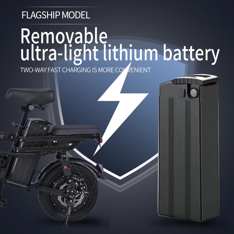 Paige Folding Electric Bike with Compact Size 48V Stylish Easy