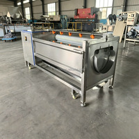 Hoge kwaliteit aardappel- en taro-was- en schilmachine, multifunctionele borstelrol fruit- en groentewasser en -schiller