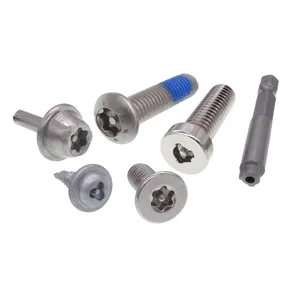 Factory Price Non-standrd 1 Way Tamper Proof Anti Theft Security Screws Manufacturer