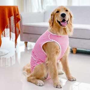 Pantaloni Fisiologici Grandi per Cani Femmina, Previene il Costritto e Pantaloni Mestruali Igienici Post-Sterilizzazione - Product Image 4