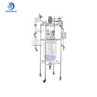 YangMai - Reactor de Vidrio Borosilicato de Doble Pared con Motor de 100L para Procesamiento Químico