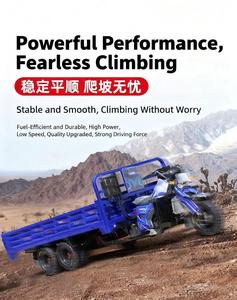 รถดัมพ์บรรทุก 5 ล้อ 2 ที่นั่ง แบบเปิด ใช้เครื่องยนต์เบนซิน ได้รับการรับรองมาตรฐาน EEC/DOT รับน้ำหนักได้มากกว่า 400 กิโลกรัม ระดับ 25 สำหรับใช้ในครัวเรือน - Product Image 3