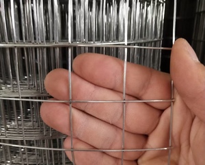 Galvanized <strong>Garden</strong> Fence Welded Wire <strong>Mesh</strong> As Poultry <strong>Netting</strong> Cage <strong>Garden</strong> Protection Plants Supports Fence <strong>Mesh</strong> Roll - Product Image 6