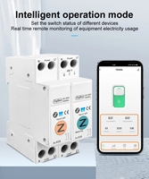Tasmota Zigbee 3.0 63A Smart Switch ESP32 Pengukur Energi Aplikasi Kontrol Suara Perlindungan dari Tegangan Berlebih Pemutus Sirkuit Miniatur