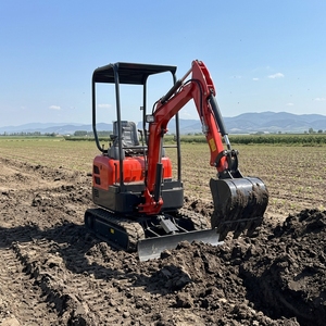 <span class=keywords><strong>Gran</strong></span> Descuento en Miniexcavadora, Excavadora de 1.6, 1.8 y 2 Toneladas con Brazo Giratorio y Cabina, Estándar de Emisiones EPA EURO 5 - Product Image 5