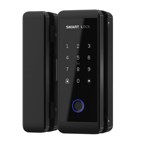 Serrure d'entrée sans clé Push Pull avec technologie intelligente pour les applications de porte de bureau modernes - Product Image 1