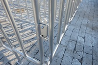 Cage de geste personnalisée pour cochon, équipement pour élevage de cochon, vente en gros