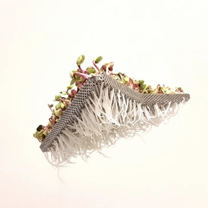 Kit de Germinación de Microgreens Duradero con Orificios de Drenaje, Fibra Vegetal Azul Ecológica de Alta Calidad para Bandejas - Product Image 3