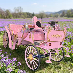 Magnifique calèche électrique de type Cendrillon pour mariages et décorations de Noël en extérieur, capacité de 6 personnes - Product Image 1