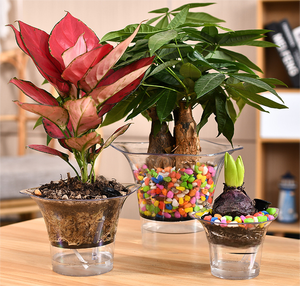 Pots auto-arrosants en plastique durable TGYW pour plantes d'intérieur, fleurs et succulentes - Product Image 4