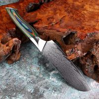 Damascus staal modern minimalistisch Santoku-mes 17,5 cm scherp vleesbijl kleurrijk houten handvat kokskeuken snijmes