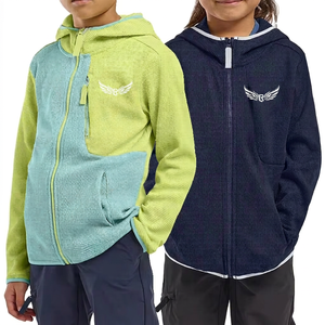 Color Blocking Hooded Fleece <b>Jacket</b> with Zipper Embroidered Logo Front Pocket Design for Kids Autumn Wear - Product Image 1