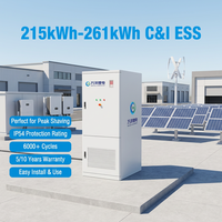 Sistema de Almacenamiento de Energía con Batería de 261 kWh y PCS de 125 kW para Uso Comercial, Batería de Litio de 166.4 V y 314 Ah