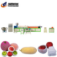 EPE PE plastic schuim schuimende appel guave vruchten mango's bloemennet netten zak verpakkingsmachines extrusieproductie