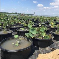 Pot rond en plastique PE de qualité alimentaire pour nénuphar noir, moulage par rotation, logo personnalisé, bassin à usage unique, Chine, Fujian