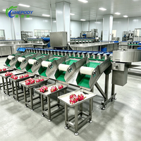 Shepody Auto Small Orange Kiwi Fruit Sorter Hoge Snelheid Zeevruchten Weegschaal Sorteermachine met Motor en PLC voor Vis en Garnalen