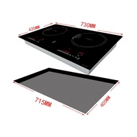 Nouvelle plaque de cuisson à induction électrique double tête 4000W avec commande tactile