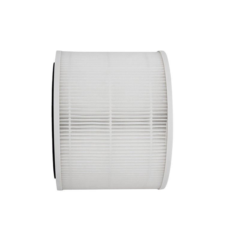 High Efficiency True HEPA and Activated