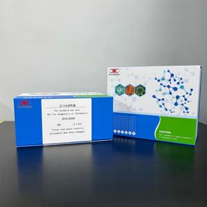 Kit ELISA sandwich pour la détection du Facteur de <span class=keywords><strong>Nécrose</strong></span> <span class=keywords><strong>Tumorale</strong></span> Bêta (TNF-β) de rat, 48T/96T, pureté 99%, modèle ZEY0520RA - Product Image 2