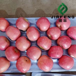 Pomme rouge Fuji fraîche et croustillante provenant d'un <span class=keywords><strong>verger</strong></span> chinois - Meilleur prix pour les grossistes du monde entier - Product Image 1