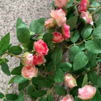 Guirlande murale de roses artificielles en soie de bonne qualité J-261015 pour la décoration de la maison et des mariages
