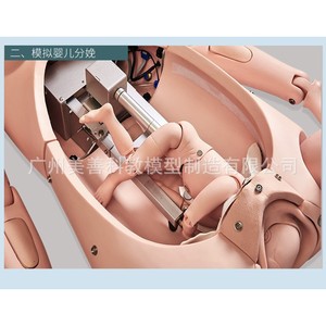 Modelo avanzado de parto y cuidado de emergencia materno-infantil, modelo de enseñanza, ginecología, modelo de fertilidad femenina. - Product Image 2