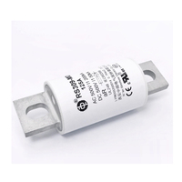 Sinofuse seri RS309-MD-EVD 100A 125A 150A 175A 200A 250A 500VDC 20kA Sekring peran cepat untuk perlindungan Inverter EV