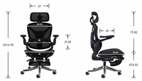Chaise de bureau ergonomique en maille avec soutien lombaire réglable, repose-pieds rétractable à double barre, roulettes en PU et accoudoirs réglables pour la maison