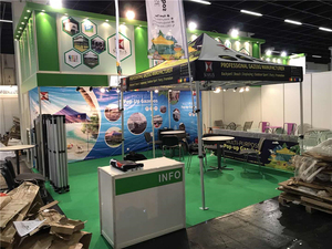 Chất lượng cao 12x12 vườn muỗi <span class=keywords><strong>Net</strong></span> cho gazebo Pavilion PVC & khung thép bên lều với tráng 3x3m Arbour pergola - Product Image 4